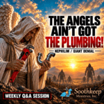 The Angels Ain't Got the Plumbing! Nephilim/Giant Denial